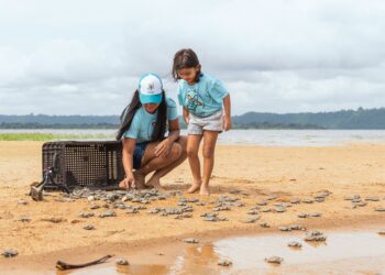 Foto: Helder Lana / Norte Energia - Divulgação