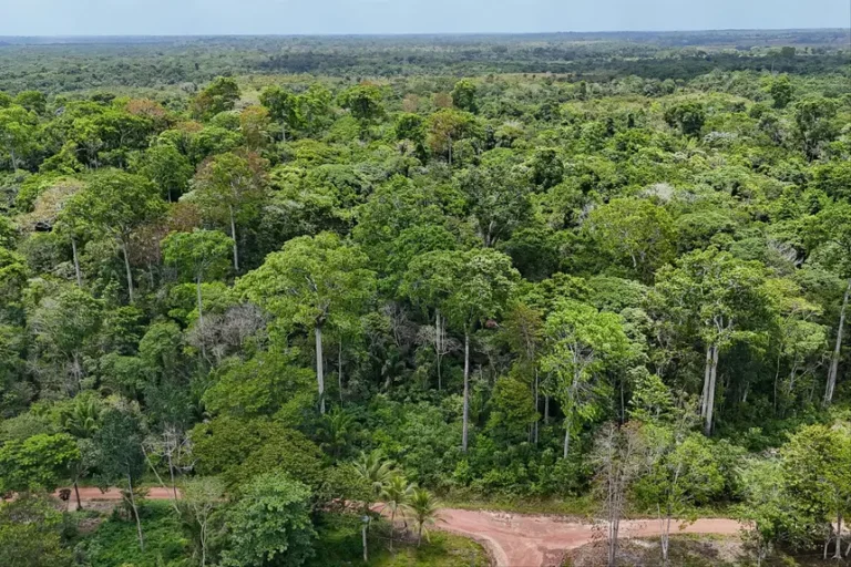 Instituto Nacional de Pesquisas Espaciais (Inpe) aponta redução absoluta em 246 km²