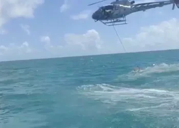 O resgate foi realizado na manhã desta sexta-feira (2), às 8h30 (13º Grupamento do CBM de Bragança)