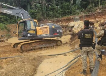 Operação resultou em apreensão de maquinário e em prisão em flagrante (Foto: Divulgação | PF)