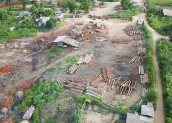 Foto: Ibama - Divulgação