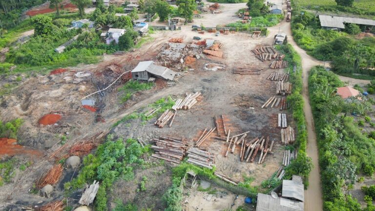 Foto: Ibama - Divulgação