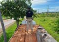 PRF apreende 57 m³ de madeira ilegal na BR-230, em Vitória do Xingu