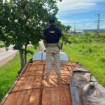 PRF apreende 57 m³ de madeira ilegal na BR-230, em Vitória do Xingu