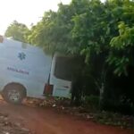 Ambulância da Saúde de Medicilândia é flagrada transportando mudas de cacau