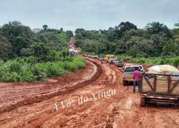 Foto: A Voz do Xingu