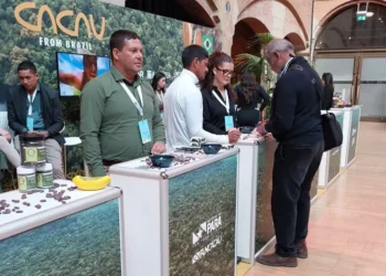 Dois produtores de cacau da região da Transamazônica concorrem à premiação mundial na Holanda