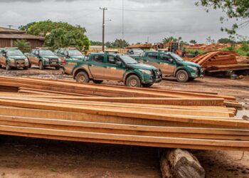 Fiscalização do Ibama identifica irregularidades na origem e no armazenamento de produtos florestais durante a Operação Maravalha - Foto: Fiscalização/Ibama