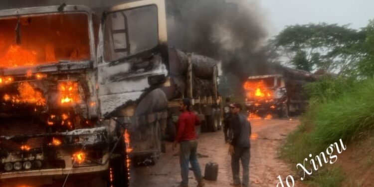 Ibama incendeia caminhões com madeira irregular durante operação ambiental em Medicilândia