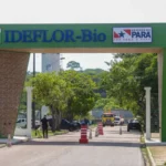 Ideflor-Bio abre vagas com salários de até R$ 2.186 no Pará