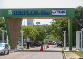 Foto: Agência Pará / Divulgação