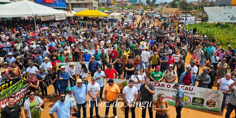 Produtores de cacau realizam manifestação em Medicilândia por melhores preços e contra importações sem fiscalização