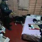 Operação “Mendacium” cumpre sete mandados contra grupo suspeito de golpe do falso intermediário