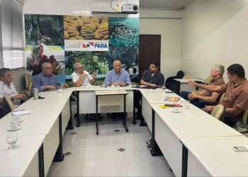 Foto: Agência Pará - Divulgação