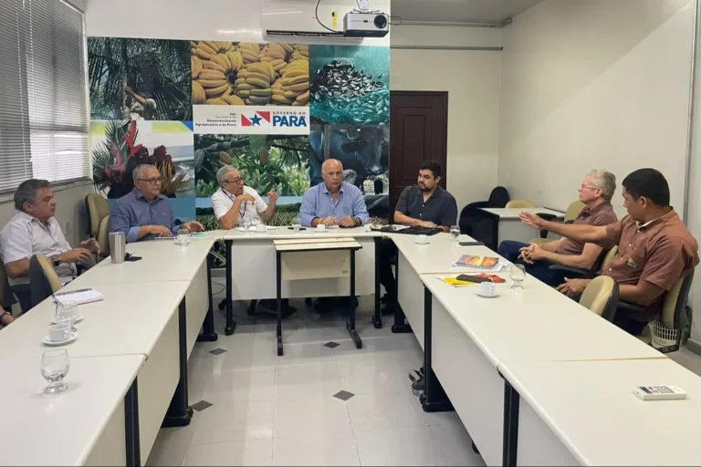 Foto: Agência Pará - Divulgação