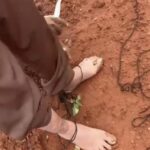 Empresário é rendido e obrigado a transferir R$ 100 mil via Pix durante assalto em Rurópolis, no sudoeste do Pará