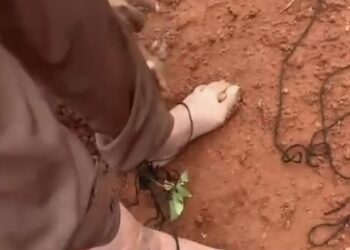 Empresário é rendido e obrigado a transferir R$ 30 mil via Pix durante assalto em Rurópolis, no sudoeste do Pará