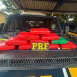 Altamira: Passageiro é preso com mais de 11 quilos de skunk em ônibus na BR-230