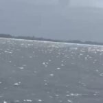 Homem desaparece após pular de embarcação no Rio Xingu, em Porto de Moz