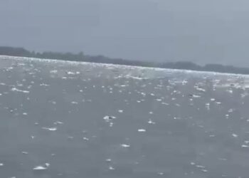 Homem desaparece após pular de embarcação no Rio Xingu, em Porto de Moz