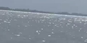 Homem desaparece após pular de embarcação no Rio Xingu, em Porto de Moz