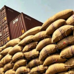 Brasil suspende importação de cacau da Costa do Marfim por risco fitossanitário