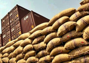 Brasil suspende importação de cacau da Costa do Marfim por risco fitossanitário