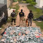 Mais de 1 tonelada de skunk é apreendida na BR-230, em Marabá