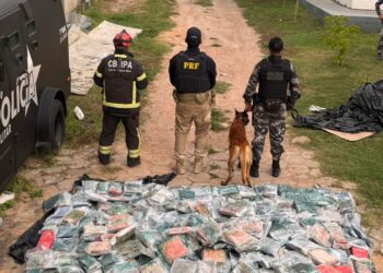 Mais de 1 tonelada de skunk é apreendida na BR-230, em Marabá