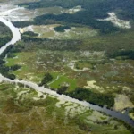 Concessões florestais do Pará são referência de desenvolvimento sustentável na Amazônia