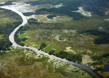 Foto: Bruno Cecim/ Agência Pará