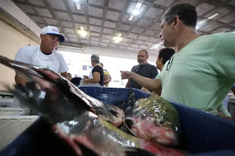 O Governo do Estado publicou decreto para assegurar o abastecimento do mercado interno com o tradicional pescado da Semana Santa