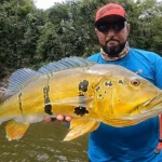 Pará regulamenta pesca esportiva e fortalece política ambiental na Amazônia Oriental