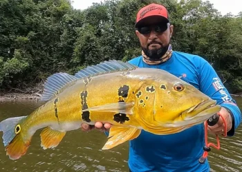 Foto: Eduardo Monteiro/ Associação de Pesca Esportiva do Pará