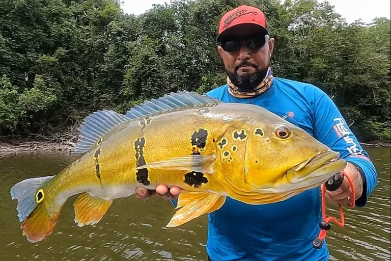 Foto: Eduardo Monteiro/ Associação de Pesca Esportiva do Pará