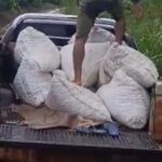 Assaltantes roubam caminhonete com carga de cacau em Uruará, mas veículo é recuperado por moradores