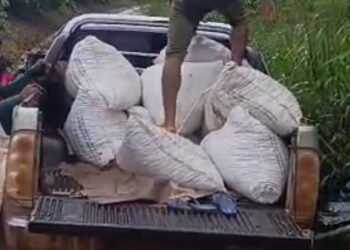 Assaltantes roubam caminhonete com carga de cacau em Uruará, mas veículo é recuperado por moradores