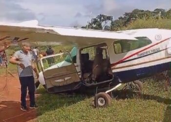 Avião de pequeno porte cai em aldeia no Pará. — Foto: Wesley Costa / Fato Regional