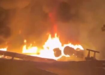 VÍDEO: Caminhão carregado de café tomba e pega fogo na BR-230, região de Vitoria do Xingu (PA)