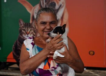 Foto: Ascom/PMA - Divulgação