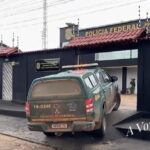 Em Anapu, madeireiro tenta subornar fiscal do Ibama com R$ 100 mil e acaba preso