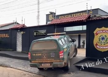 Em Anapu, madeireiro tenta subornar fiscal do Ibama com R$ 100 mil e acaba preso