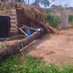 Vendaval provoca morte de missionária após queda de árvore na zona rural de Uruará (PA)