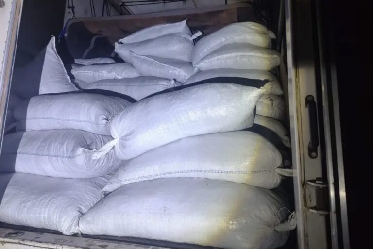 Foto: Agência Pará / Divulgação