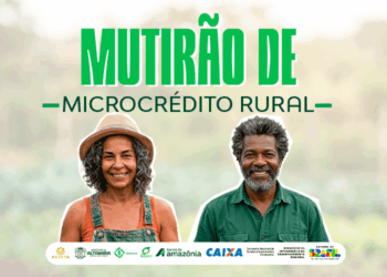 Altamira recebe mutirão de microcrédito rural nos dias 17 e 18 de março
