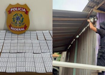 PF combate esquema de monitoramento ilegal ligado a crimes ambientais no Pará