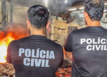 Polícia Civil incinera mais de 220 kg de drogas apreendidas em Altamira e região