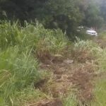 VÍDEO: Taxista perde o controle do veículo e capota na PA-415, em Vitória do Xingu