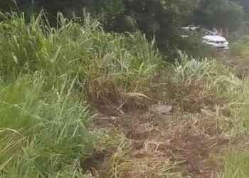 VÍDEO: Taxista perde o controle do veículo e capota na PA-415, em Vitória do Xingu