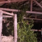 Homem é morto a tiros após discussão dentro de curral em Novo Repartimento